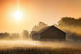 Barn In Misty Sunrise_24585-6